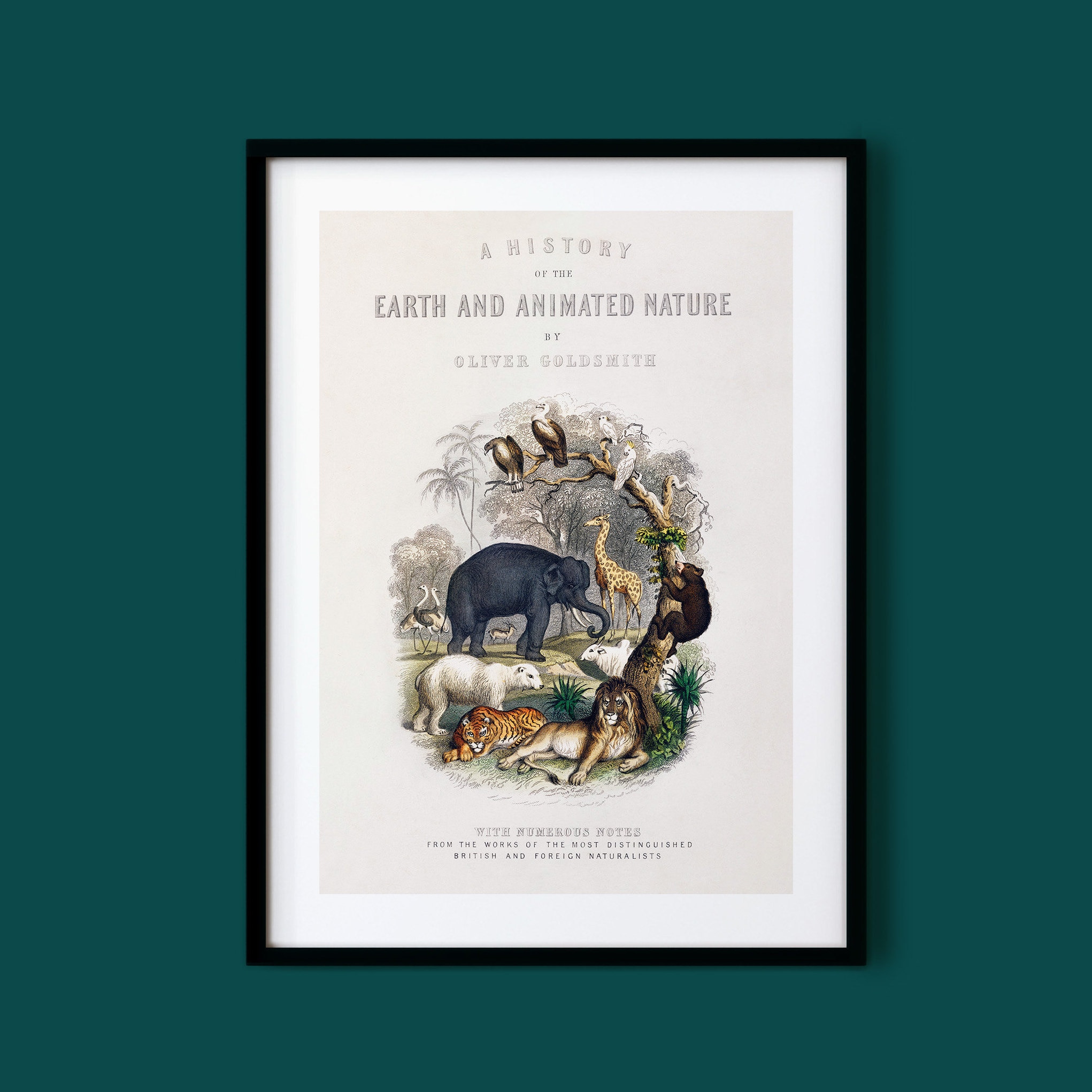 A History of the Earth and Animated Nature by Oliver Goldsmith