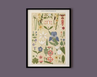 Vintage Botanical Print of Leaves and Flowers from Nature by Owen Jones