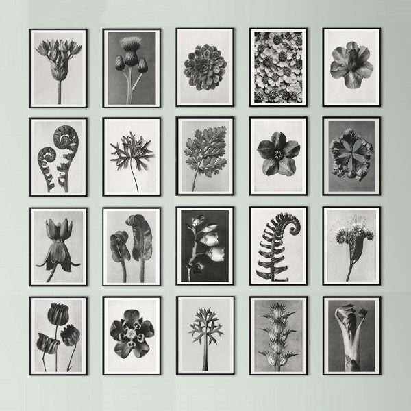 Vintage Photo Print Etsy