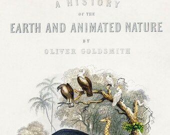 A History of the Earth and Animated Nature by Oliver Goldsmith