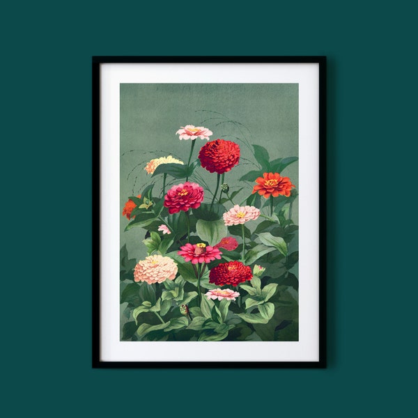 Vintage Botanical Print of Dahlia Flowers