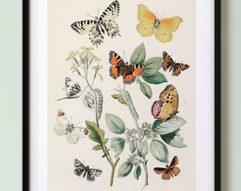Butterflies, Downloadable Print, Butterfly Print, Poster, Wall Art, Home Decor, Poster Print, Wall Print, Digital Download