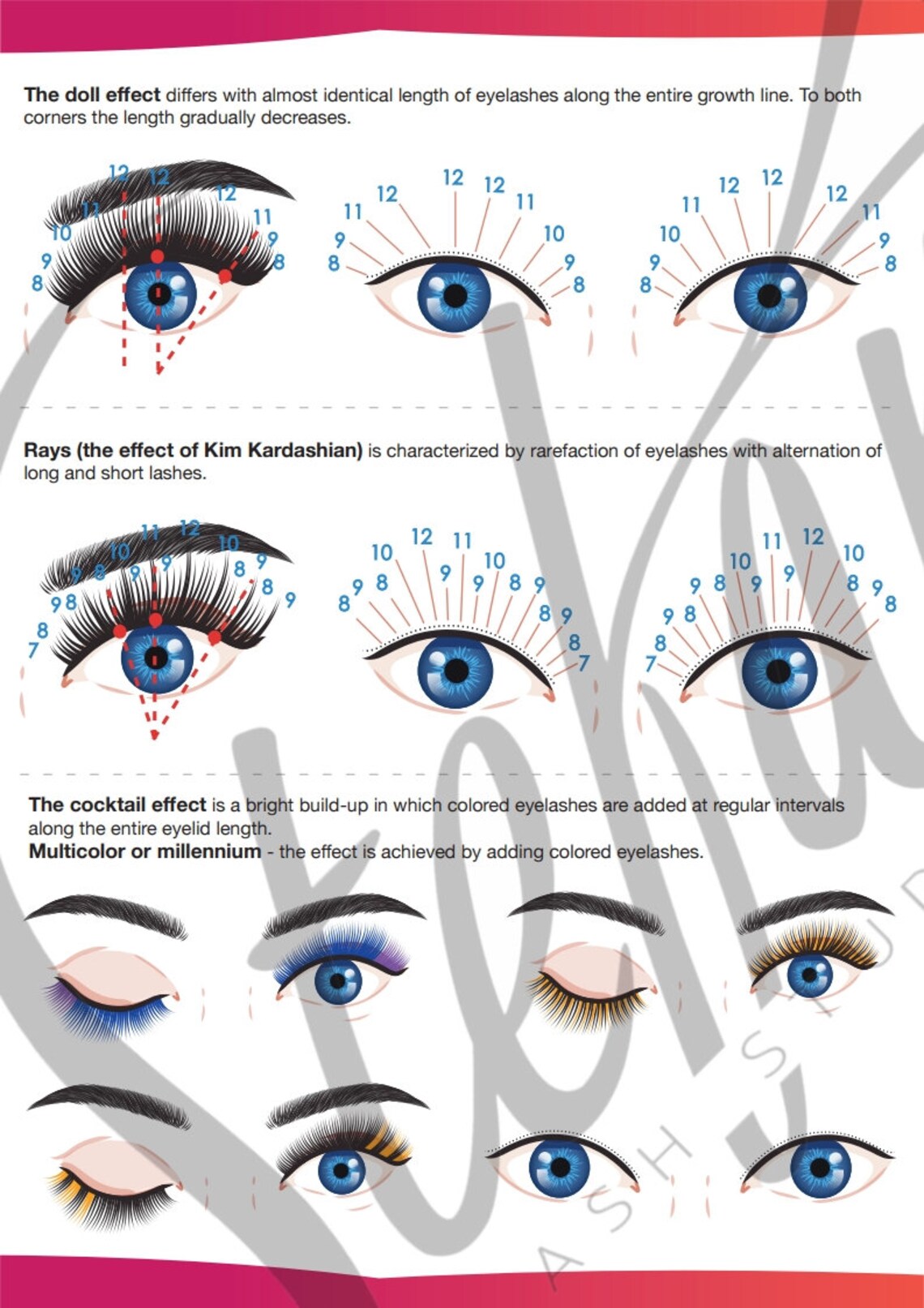 Lash Map SheetsDirections Printable Lash Mapping | Etsy
