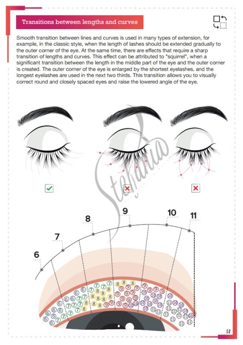 Lash Training Manual custom lash training manual Lash Class | Etsy
