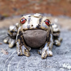 Ceramic Toad, OOAK, Realistc Handmade Frog, Garden Art, Fairy Garden, Yard Art, Garden Decoration, Housewarming gift, Toad for the Garden