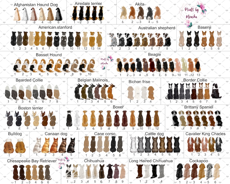 Pu&ograve; includere: Un grafico con illustrazioni di diverse razze di cani, ogni razza &egrave; mostrata con 6-14 diverse varianti di colore. Il grafico &egrave; intitolato "Prints by Monika".