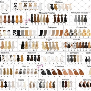 Pu&ograve; includere: Un grafico con illustrazioni di diverse razze di cani, tra cui Maltese, Mastino, Papillon, Barboncino, Rat Terrier, Shar Pei, Barboncino Toy, Westie, Whippet, Yorkipoo, Yorkshire Terrier, Maltese Shih Tzu, Maltipoo, Pinscher nano, Schnauzer nano, Peekapoo, Pechinese, Puggle, Cuccioli, Rottweiler, Samoiedo, Schnoodle, Terrier scozzese, Shih Tzu, San Bernardo, Pastore svizzero.