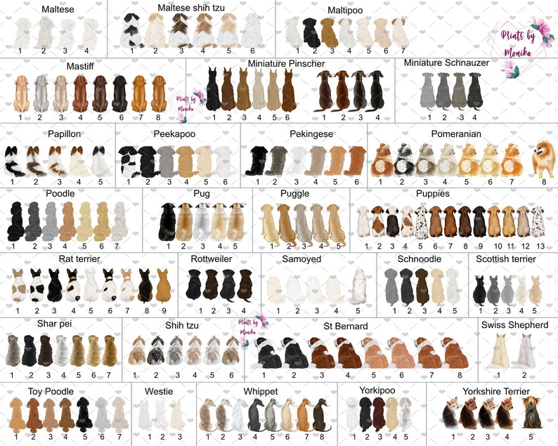 Pu&ograve; includere: Un grafico con illustrazioni di diverse razze di cani, tra cui Maltese, Mastino, Papillon, Barboncino, Rat Terrier, Shar Pei, Barboncino Toy, Westie, Whippet, Yorkipoo, Yorkshire Terrier, Maltese Shih Tzu, Maltipoo, Pinscher nano, Schnauzer nano, Peekapoo, Pechinese, Puggle, Cuccioli, Rottweiler, Samoiedo, Schnoodle, Terrier scozzese, Shih Tzu, San Bernardo, Pastore svizzero.
