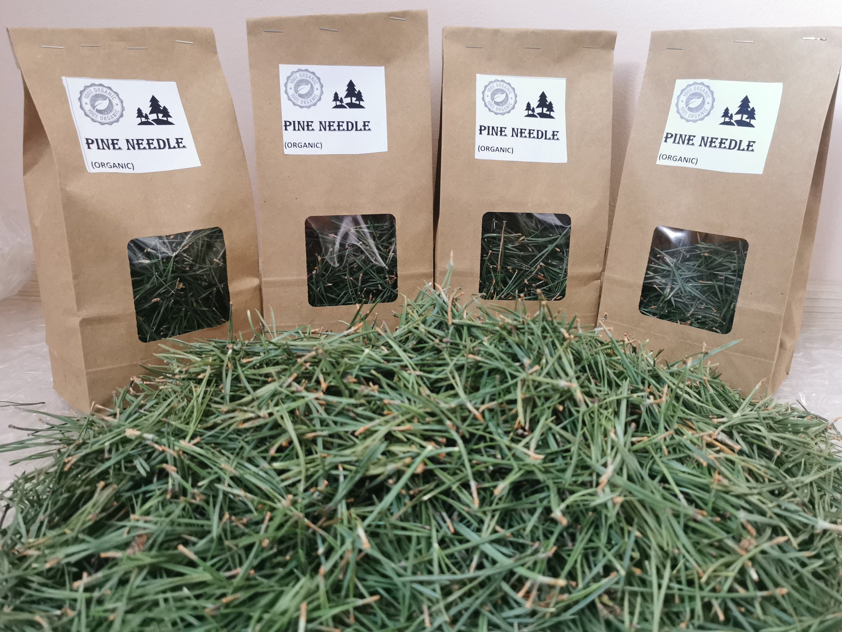 Fresh Organic Pine Needle Tea | MAGICAL HERBS | Fresh Pine Needle |Pi…