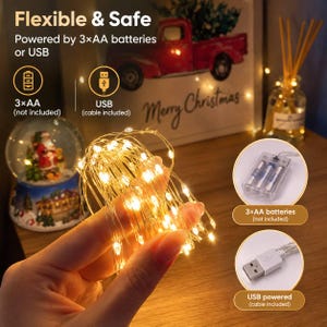 May include: A string of warm white LED fairy lights on a thin silver wire. The lights are powered by either three AA batteries or a USB cable. The product features a clear plastic battery pack for three AA batteries and a white USB connector plug.