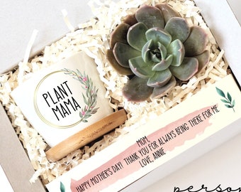 Mothers day plant - plant mom gift - mothers day succulent gift - mini custom succulent pot set - gifts under 30 - ready to ship - mom gift