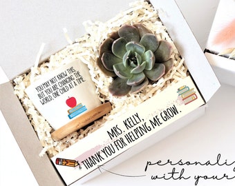 Regalo del maestro - regalo de planta para el maestro - regalo de agradecimiento para el maestro - regalo único para el maestro - suculenta caja de regalo - regalo menor de 20 años