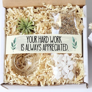 Custom employee appreciation gift box - thank you gift box - mini air plant gift - glass terrarium gift - gifts under 20