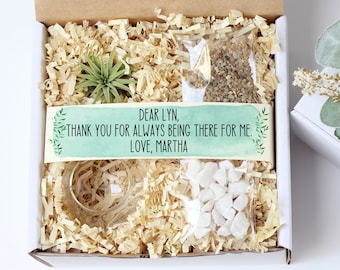 Mini air plant gift box - personalized plant gift - custom thank you gift - appreciation gift  - air plant terrarium globe - gifts under 20
