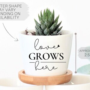 Modern engagement gift box - engagement gift idea for friends - congrats gift - wedding gift box - unique engagement gift set - succulents image 2