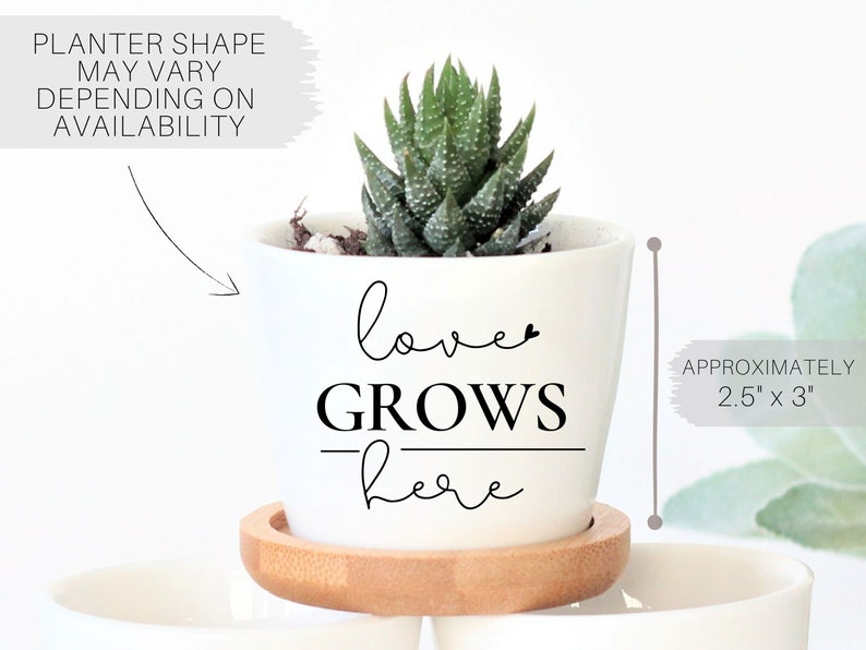 Modern engagement gift box - engagement gift idea for friends - congrats gift - wedding gift box - unique engagement gift set - succulents image 2