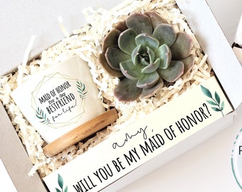 Maid of honor proposal gift box - succulent gift - will you be my maid of honor personalized gift box - gift under 20 - ready to ship gift