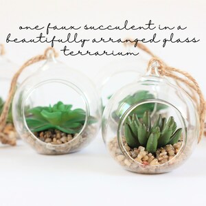May include: Three glass terrariums with faux succulents inside. Each terrarium is suspended by a twine cord. The terrariums are arranged on a white surface.  The text "one faux succulent in a beautifully arranged glass terrarium" is written above the terrariums.