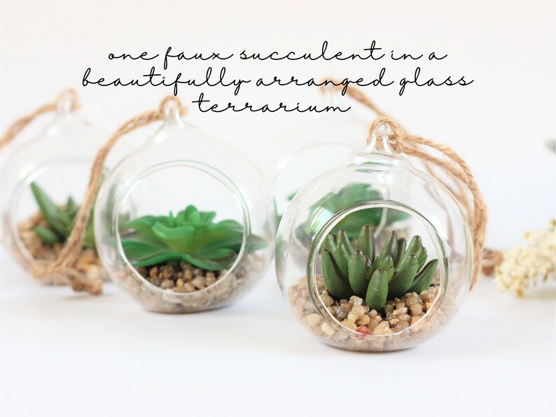 May include: Three glass terrariums with faux succulents inside. Each terrarium is suspended by a twine cord. The terrariums are arranged on a white surface.  The text "one faux succulent in a beautifully arranged glass terrarium" is written above the terrariums.