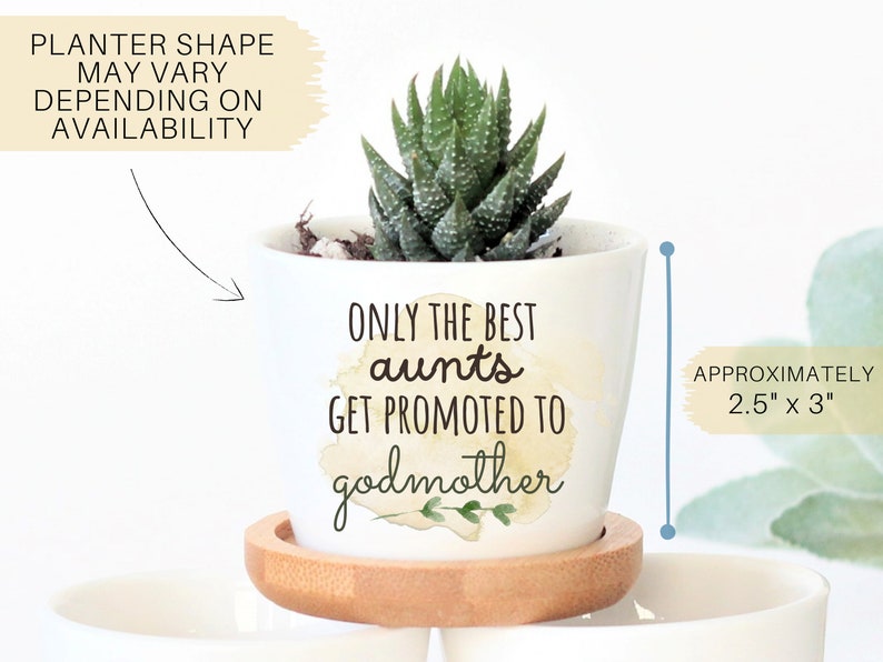 Pode incluir: Vaso de cer&acirc;mica branco com o texto "ONLY THE BEST AUNTS GET PROMOTED TO GODMOTHER" em letras pretas sobre um fundo de aquarela. O vaso mede aproximadamente 2,5 polegadas por 3 polegadas e tem uma pequena planta suculenta dentro.