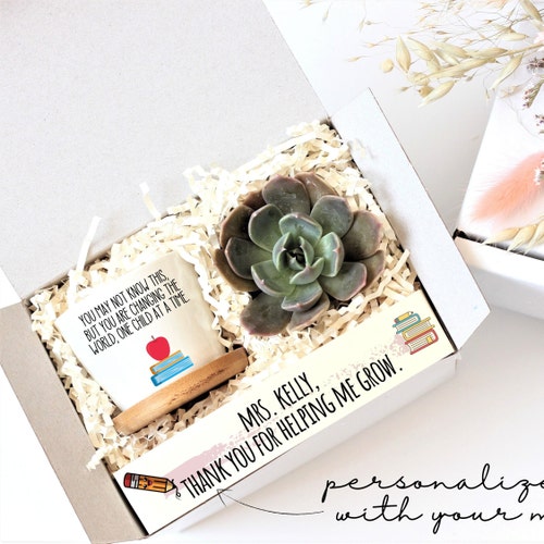 Teacher gift - plant gift for teacher - appreciation gift for teacher - unique gift for teacher - succulent gift box - gift under 20