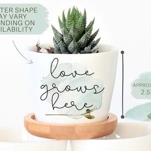 Puede incluir: Maceta de cer&aacute;mica blanca con un dise&ntilde;o de acuarela verde y el texto "love grows here". La maceta mide 2,5 pulgadas por 3 pulgadas y tiene una peque&ntilde;a planta suculenta dentro.