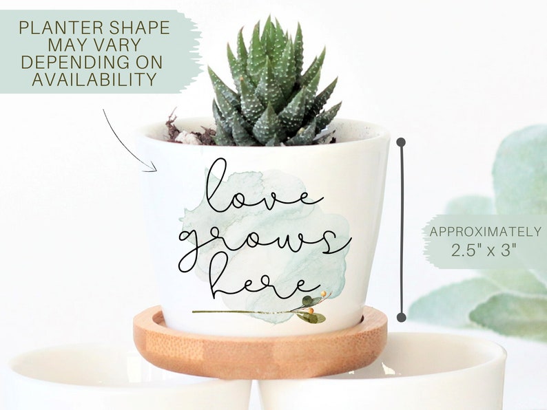 Puede incluir: Maceta de cer&aacute;mica blanca con un dise&ntilde;o de acuarela verde y el texto "love grows here". La maceta mide 2,5 pulgadas por 3 pulgadas y tiene una peque&ntilde;a planta suculenta dentro.
