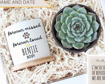 May include: A white ceramic planter with the text "forever missed forever loved" and a paw print. The planter has a wooden base and the name "BENJIE" and the year "2021" are printed below the paw print. A small green succulent plant is in a black pot next to the planter. The planter and succulent are in a brown box with white shredded paper.