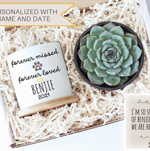Personalized pet memorial gift - pet loss gift - dog sympathy gift - pet sympathy planter gift box - cat memorial gift - ready to ship gift