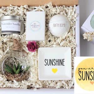 Sunshine in a box - sunshine gift box - thinking of you gift box - box of sunshine - ready to ship box - gifts under 30 - succulent gift