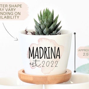 May include: White ceramic planter with a pink watercolour design and the text "MADRINA est. 2022". The planter is 2.5 inches by 3 inches and contains a small green succulent plant.