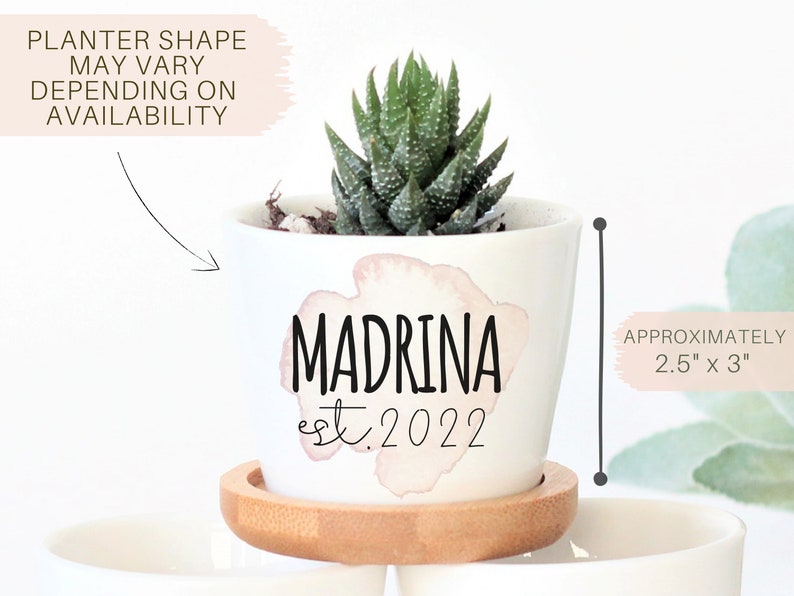 May include: White ceramic planter with a pink watercolour design and the text "MADRINA est. 2022". The planter is 2.5 inches by 3 inches and contains a small green succulent plant.