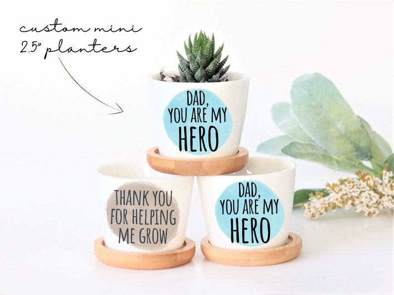Fathers Day Gift - Plant Dad Gift - Fathers Day Succulent Gift - Mini ...