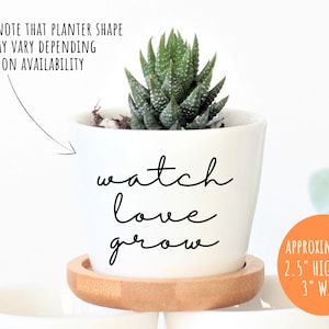 Puede incluir: Maceta de cer&aacute;mica blanca con el texto "watch love grow" en escritura cursiva negra. La maceta mide 2,5 pulgadas de alto y 3 pulgadas de ancho y tiene una peque&ntilde;a planta suculenta dentro. La maceta est&aacute; sentada sobre una base de madera.