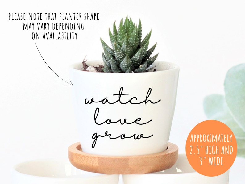 Puede incluir: Maceta de cer&aacute;mica blanca con el texto "watch love grow" en escritura cursiva negra. La maceta mide 2,5 pulgadas de alto y 3 pulgadas de ancho y tiene una peque&ntilde;a planta suculenta dentro. La maceta est&aacute; sentada sobre una base de madera.