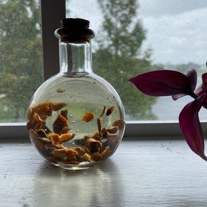 Palo Santo Oil