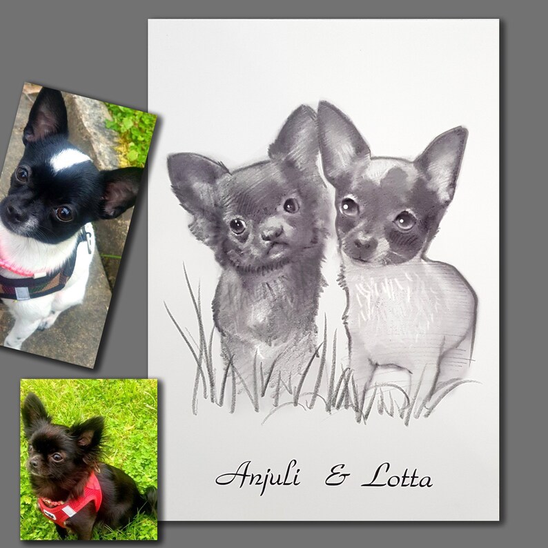 Puede incluir: Un chihuahua blanco y negro y un chihuahua marr&oacute;n est&aacute;n dibujados a l&aacute;piz sobre un fondo blanco. El dibujo est&aacute; firmado "Anjuli & Lotta".
