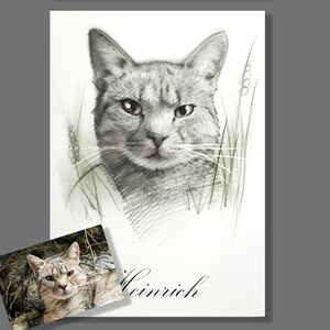 Puede incluir: Un dibujo a l&aacute;piz en blanco y negro de un gato con el nombre "Heinrich" escrito debajo de la imagen.