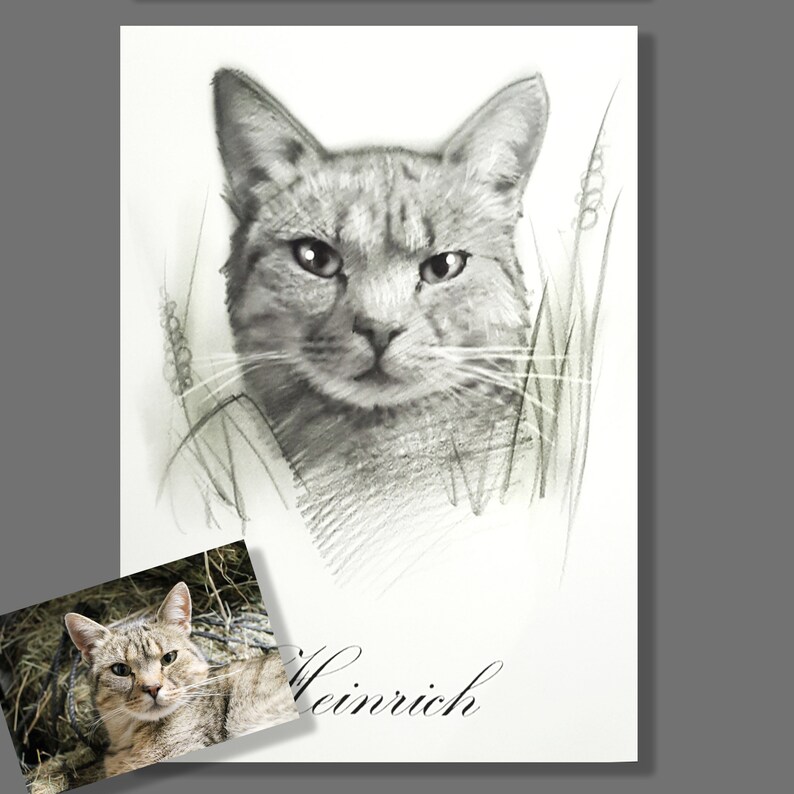 Puede incluir: Un dibujo a l&aacute;piz en blanco y negro de un gato con el nombre "Heinrich" escrito debajo de la imagen.