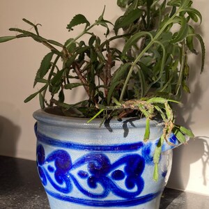 以下が含まれることがあります： 濃い青色の花柄模様が施された、薄い青色の陶器製の植木鉢。 植木鉢には緑の葉の植物が入っています。 植木鉢には両側に小さな取っ手が2つ付いています。 濃い灰色の表面に置かれています。
