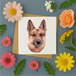 Deutscher Schäferhund| Deutscher Schäferhund | Geburtstagskarte |  Grußkarte | Innenseite leer | Schäfer