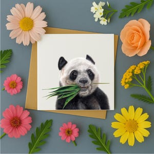 Carte de vœux panda | carte avec panda | Carte de voeux Panda | Carte des animaux sauvages | Vide à l'intérieur