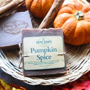 Pumpkin Spice (Goats-milk, Pumpkin, Cinnamon and Honey Luxurious Body Bar)