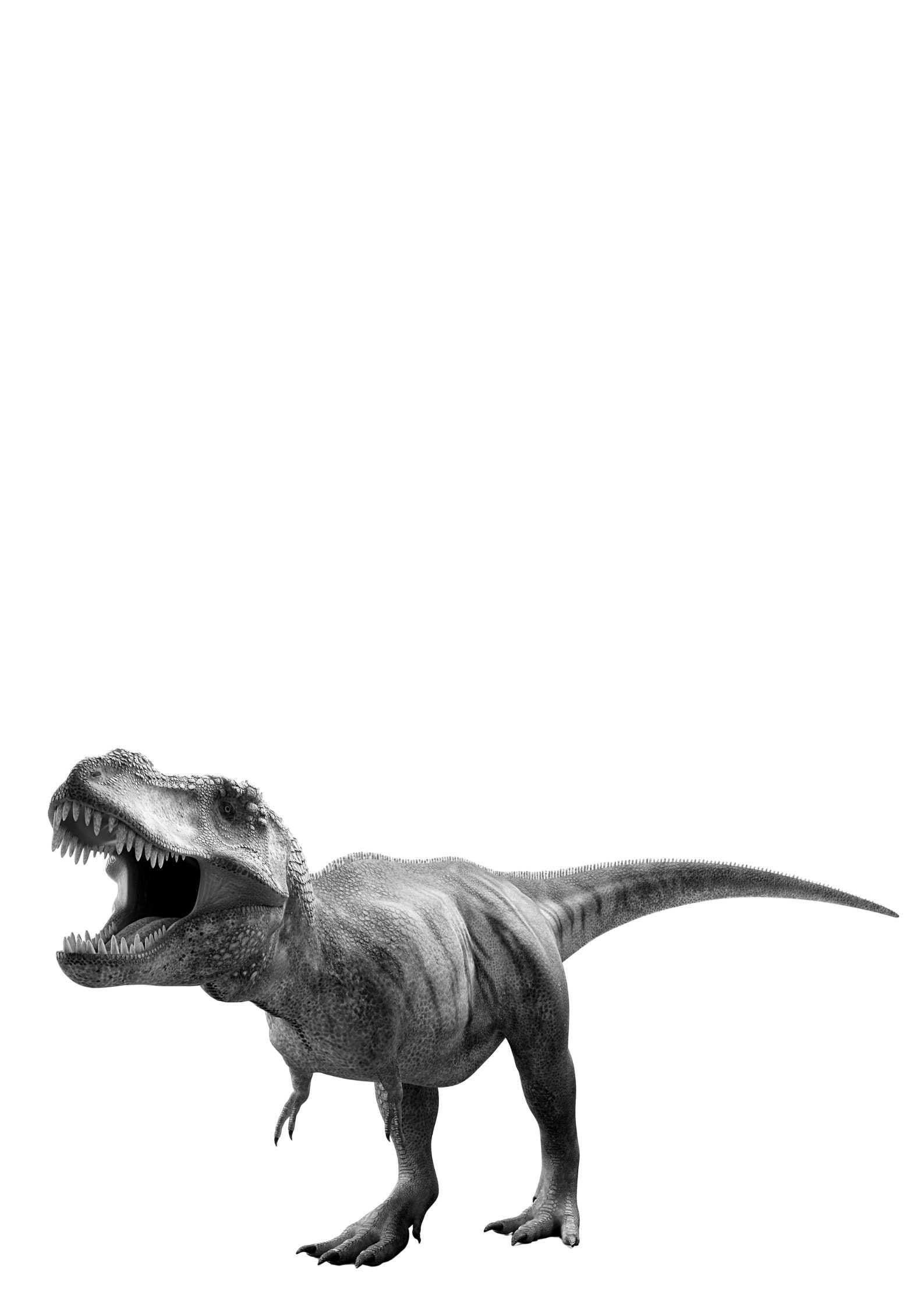 dinosaur printing dinosaur printing