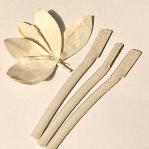 May include: Three beige disposable razors with a textured surface. The razors are arranged in a fan shape on a white background. A dried flower is also visible in the image.