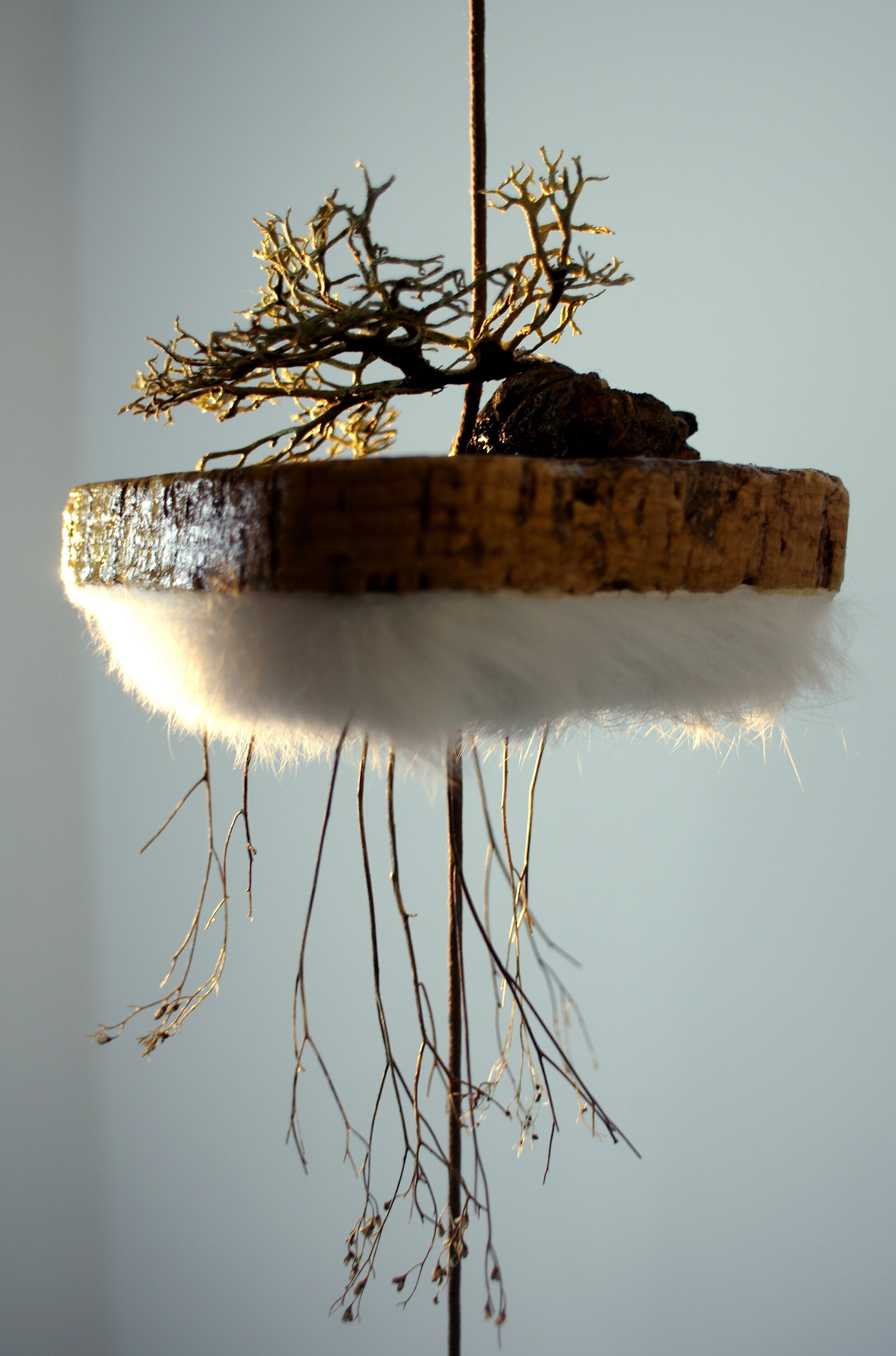 Suspension Végétale Décorative Monde Recto Verso Echo(S I