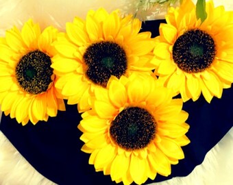 sunflower bottoms cloth diapers