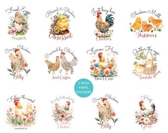 Pegatinas de gallinas, pegatinas divertidas de granja, juego de pegatinas de gallinas, regalo para amantes de las gallinas, pegatina de chica de granja, pegatina campestre, pegatina de vinilo de gallina de traspatio