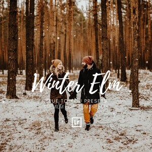 Moody WINTER Presets- Winter Portrait Presets- Winter-Lightroom Desktop Presets for Photographers Winter Preset