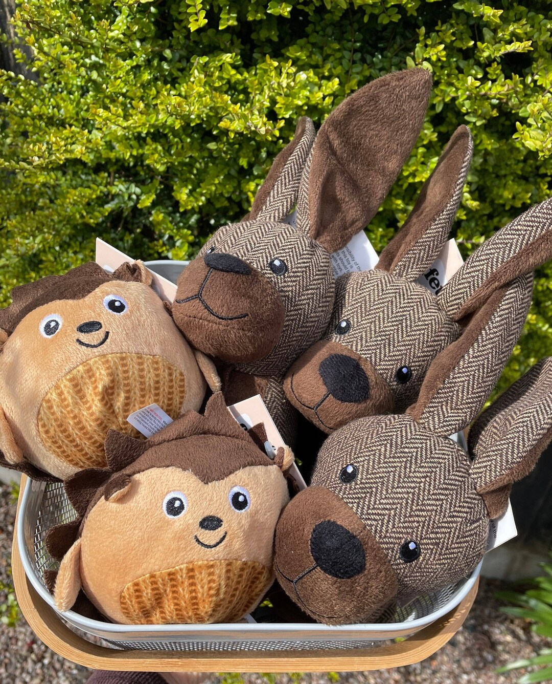 Dog Plush Squeaky Toy/squeaky Dog Toy/dog Teddy/rabbit Dog Etsy